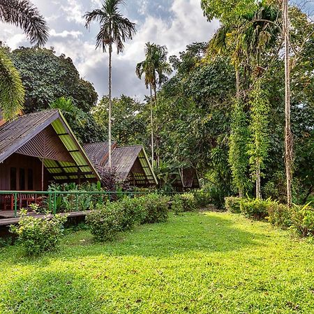 Khao Sok Riverside Cottages Khao Sok National Park المظهر الخارجي الصورة