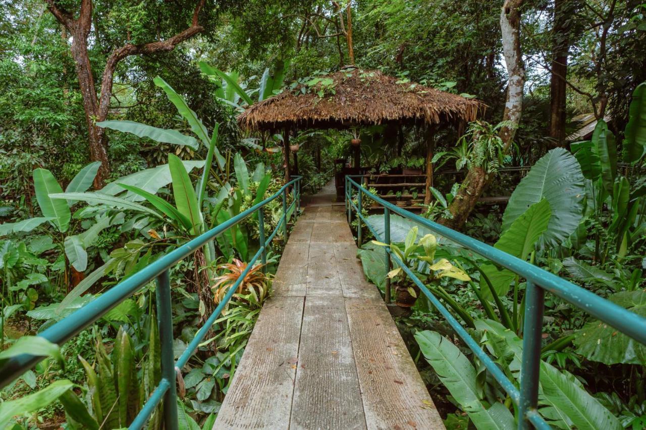 Khao Sok Riverside Cottages Khao Sok National Park المظهر الخارجي الصورة