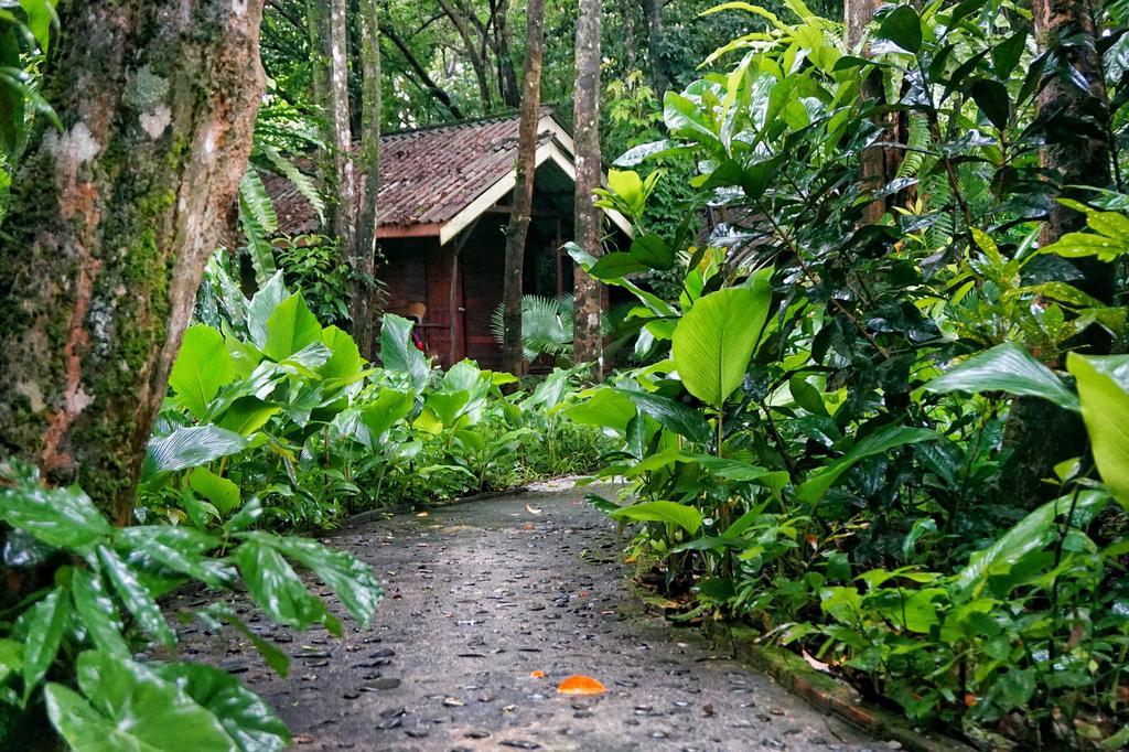 Khao Sok Riverside Cottages Khao Sok National Park المظهر الخارجي الصورة
