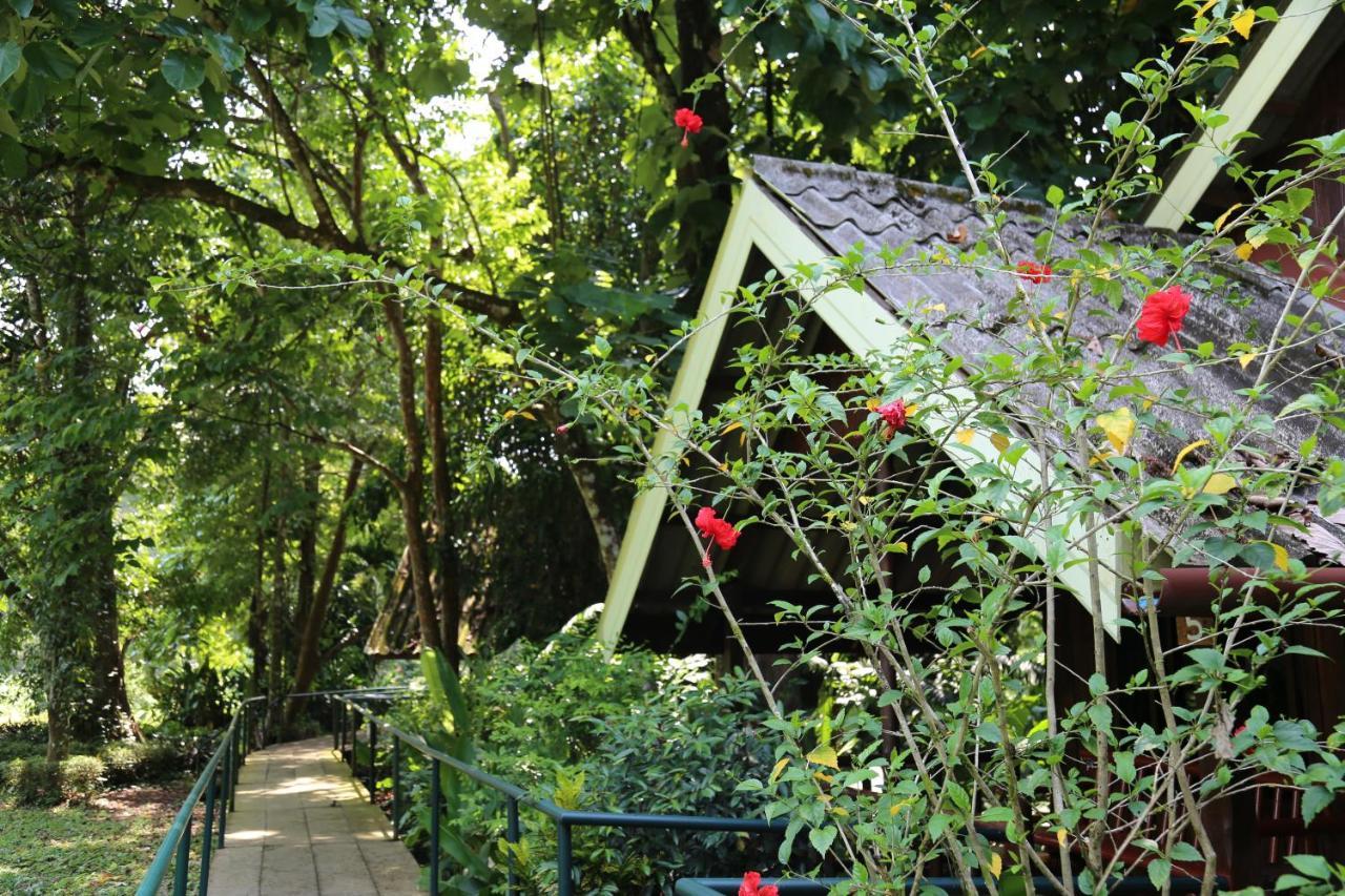 Khao Sok Riverside Cottages Khao Sok National Park المظهر الخارجي الصورة